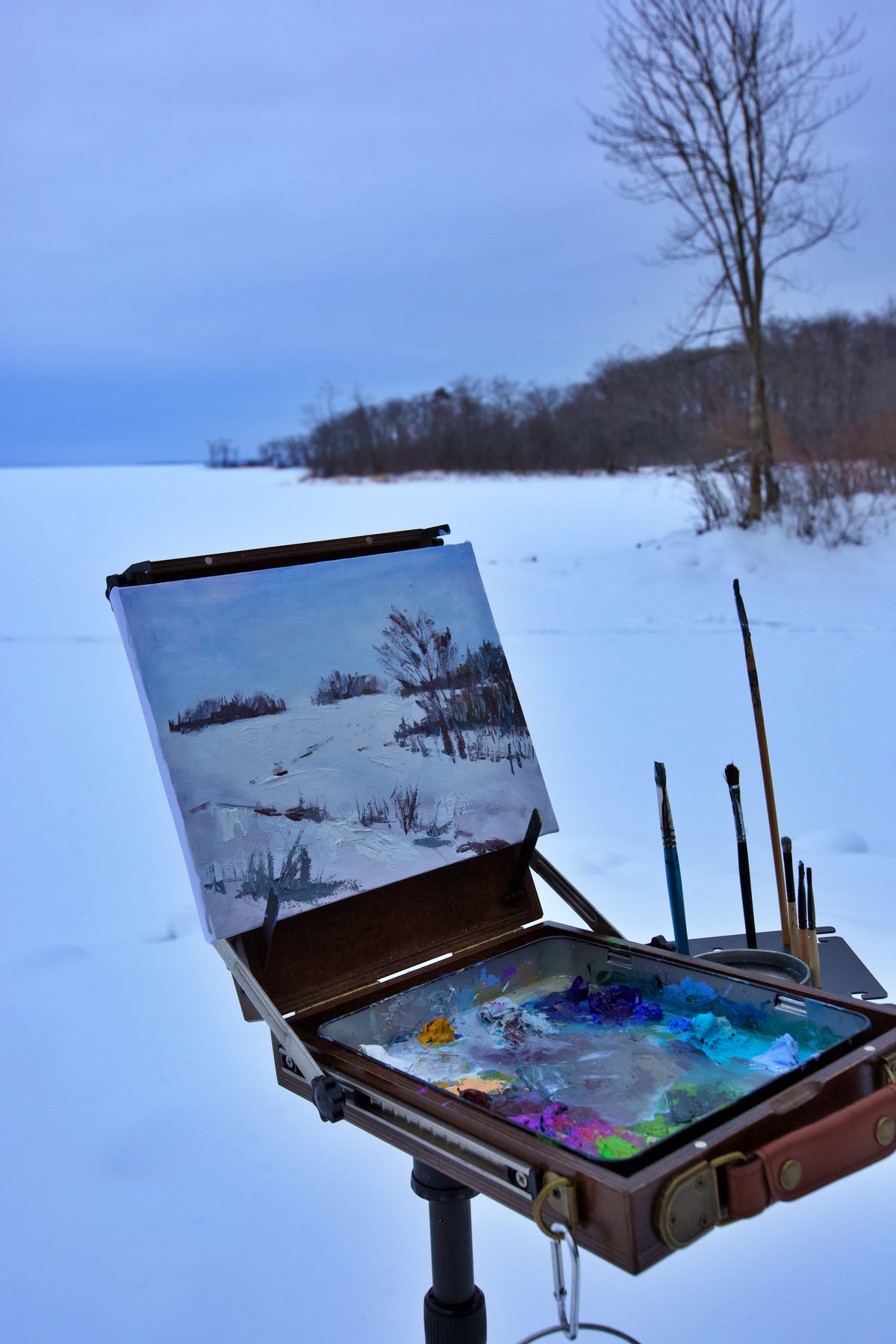 Captured in the Cold 2025