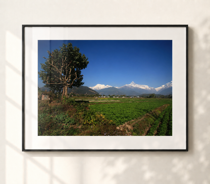 Nepal I