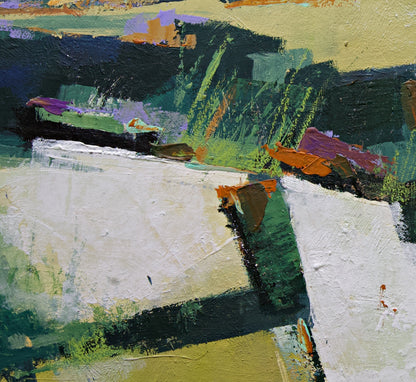 Shadow Field