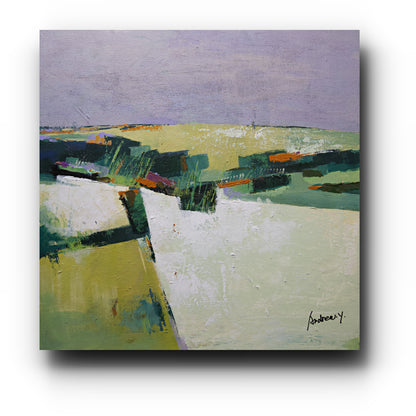 Shadow Field