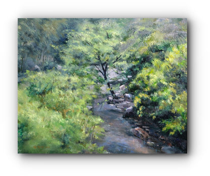 Deep Summer Shade