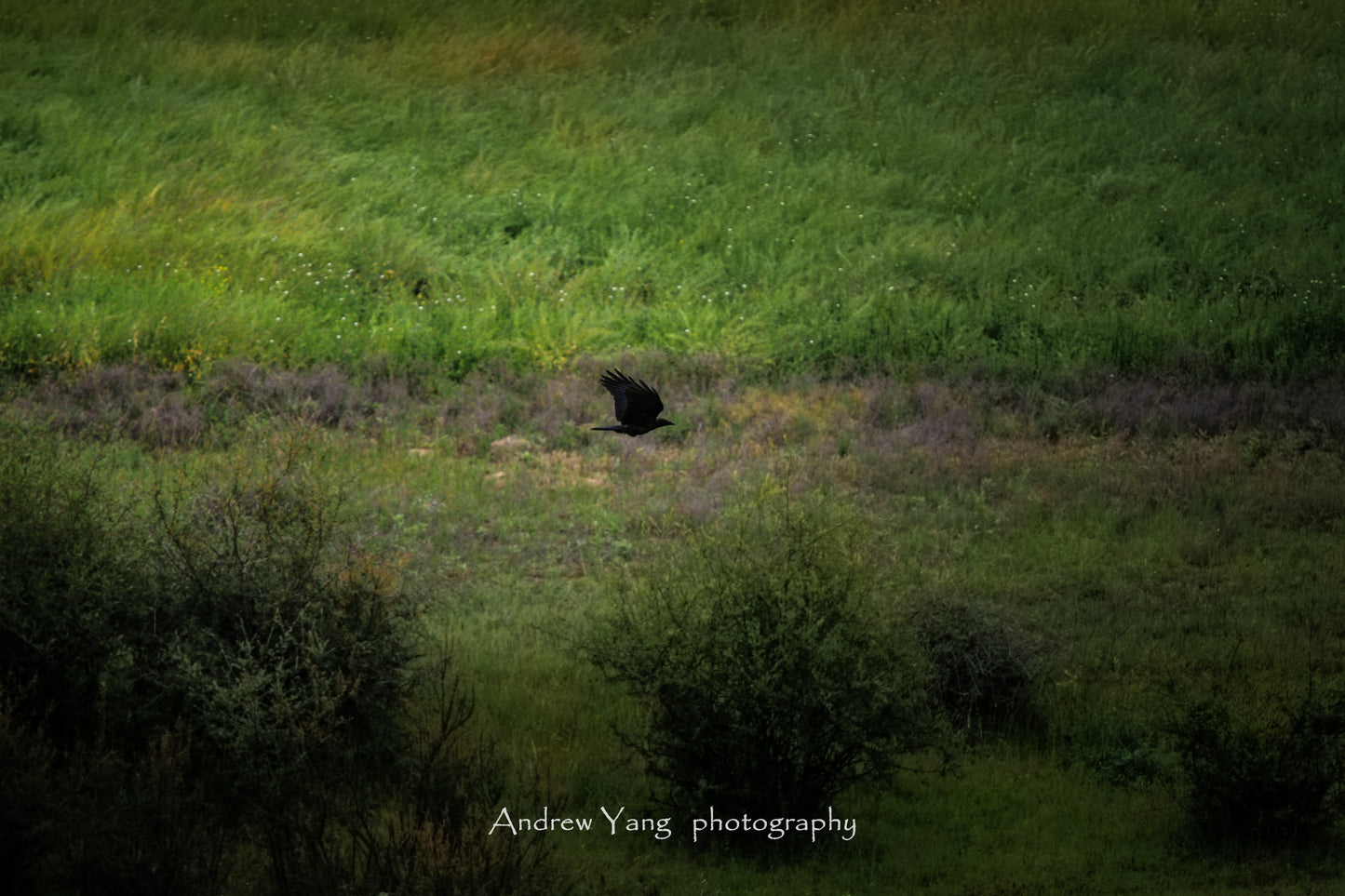 IMG_7459_2f3d0eb3-320c-42b1-803c-69ba1ff090a7z[zoom]