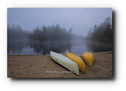IMG_818611_a8d3e977-ee92-447e-a4c1-9279af964305[zoom]
