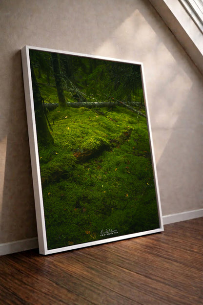 Moss Scape