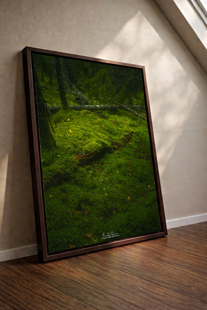 Moss Scape