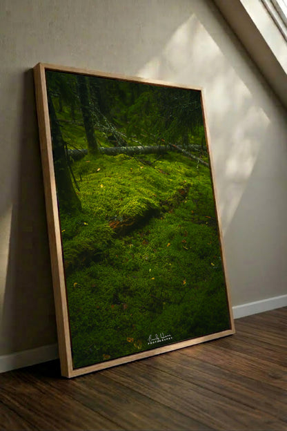 Moss Scape