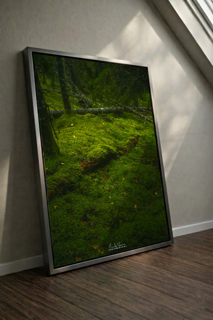 Moss Scape