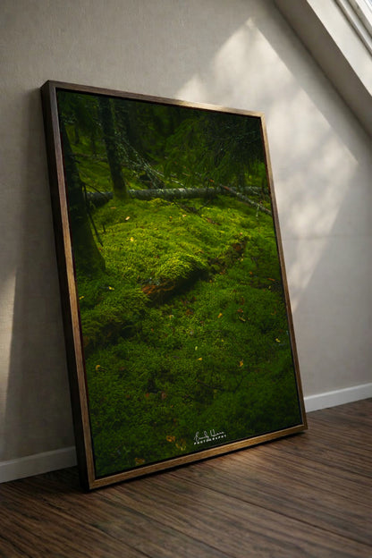 Moss Scape