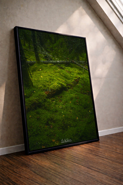 Moss Scape