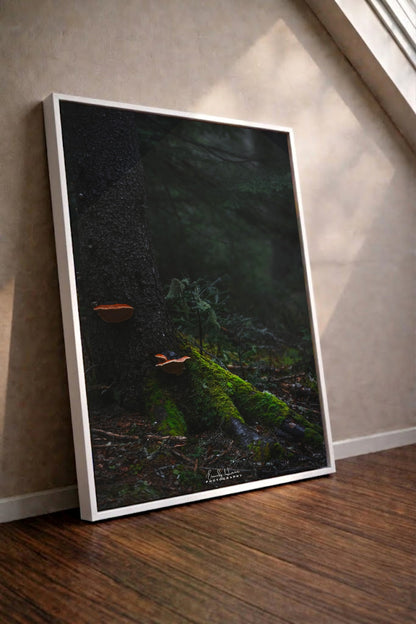 Mushroom Moss