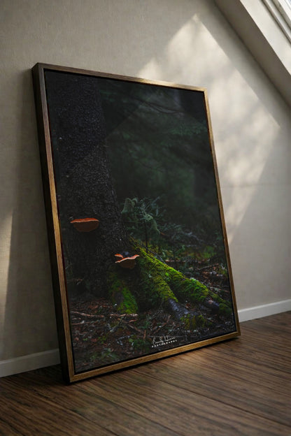 Mushroom Moss