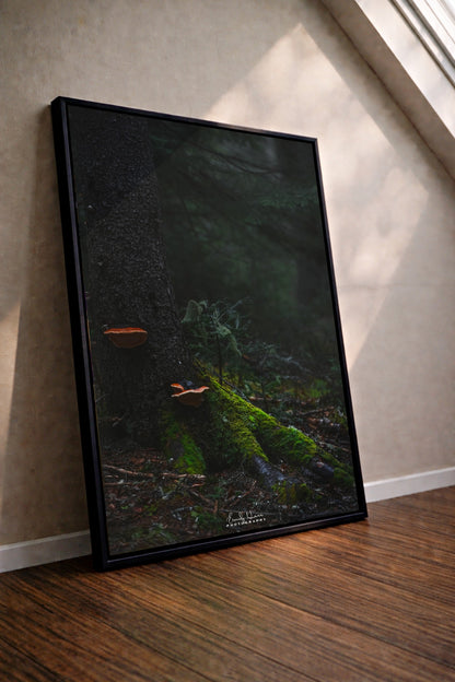 Mushroom Moss
