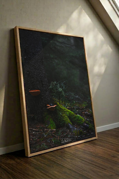 Mushroom Moss