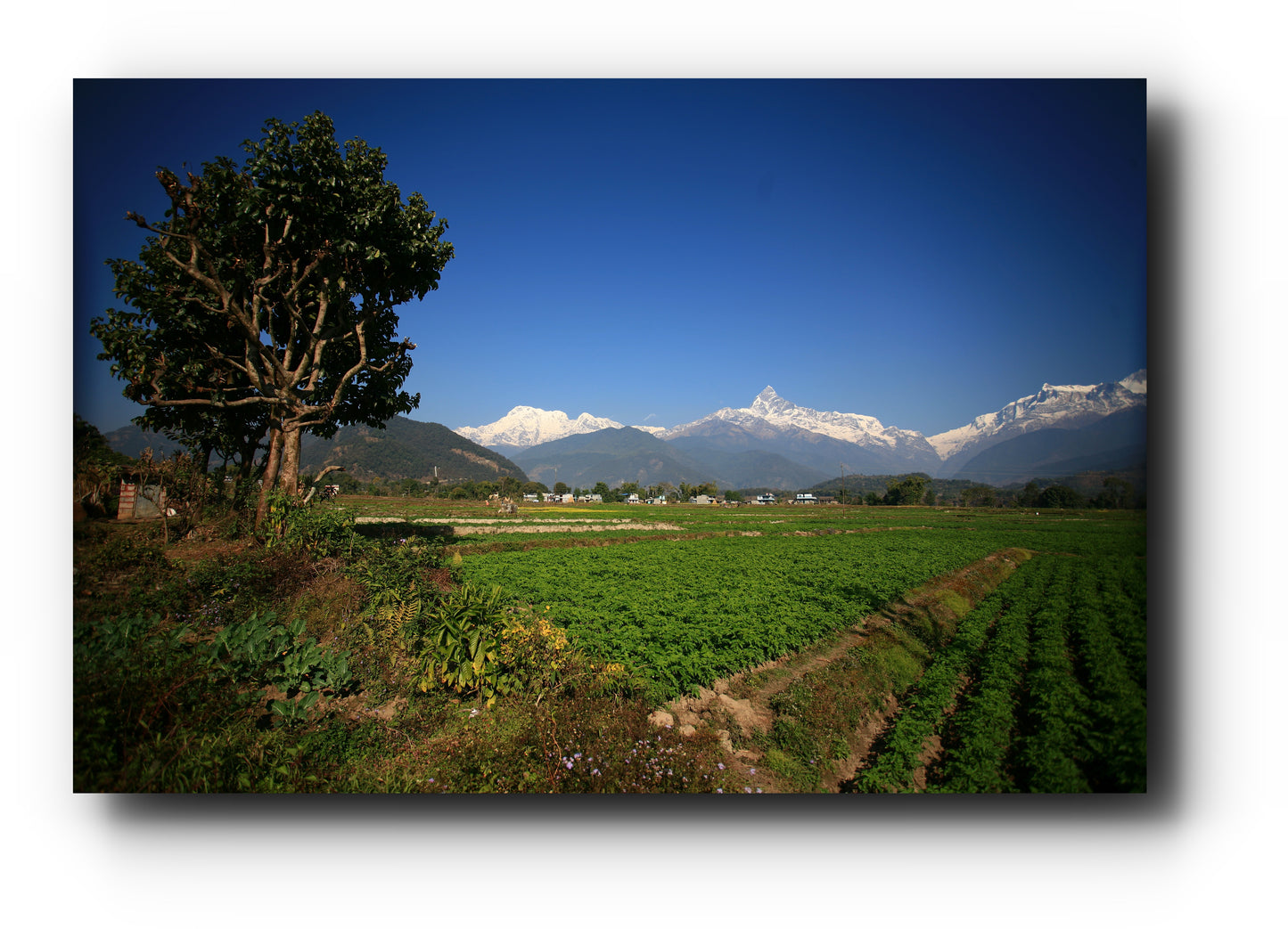 Nepal_I._2[zoom]