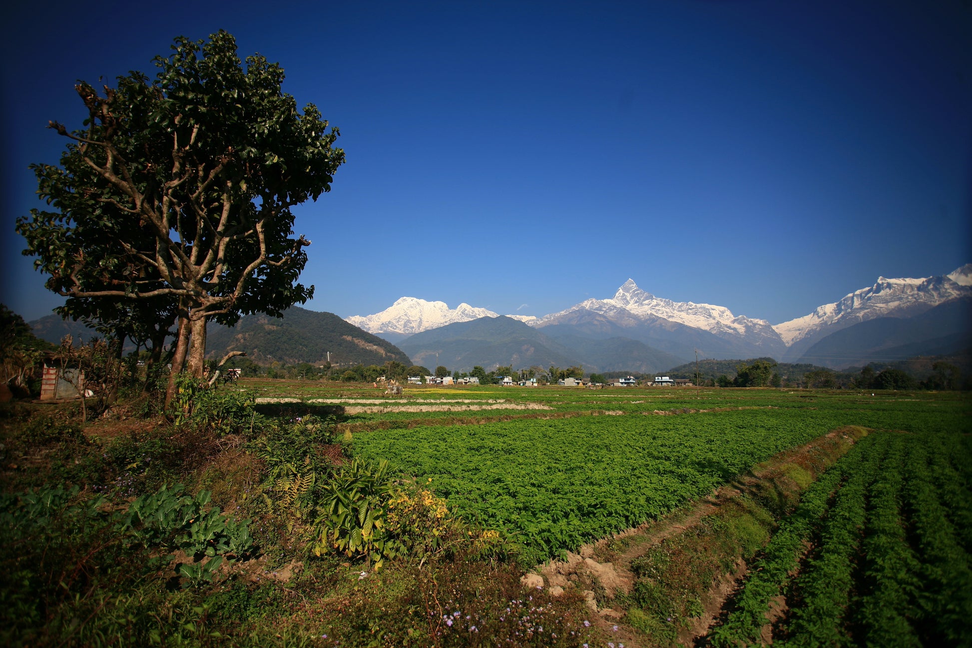 Nepal_I_971db82c-c460-46ce-a18d-90472d429eed[zoom]