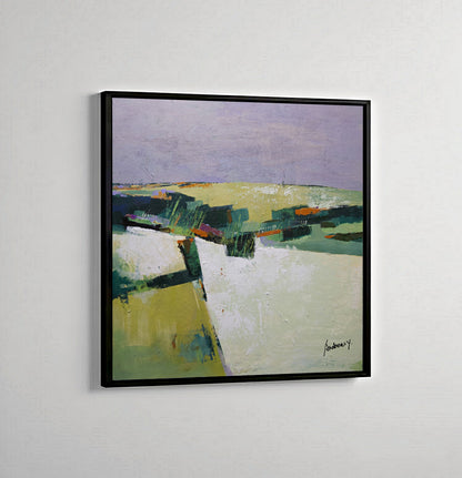 Shadow Field