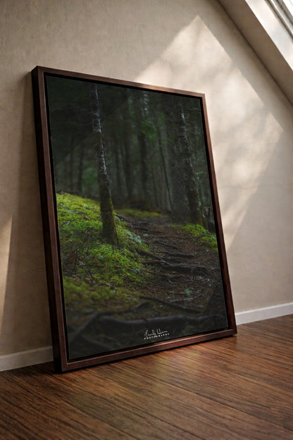 The Moss Path