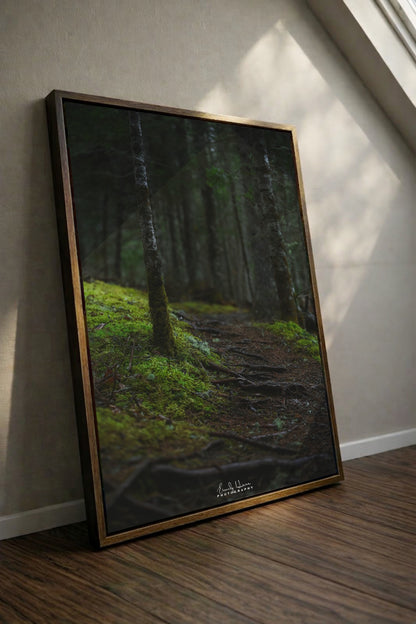 The Moss Path