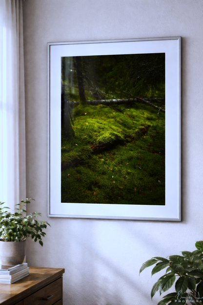 Moss Scape