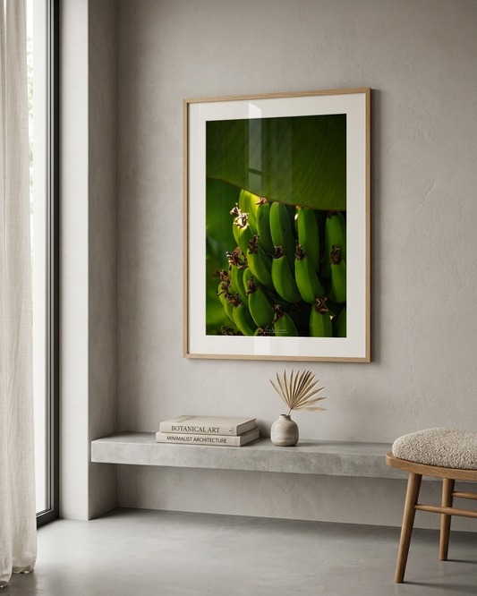 Costa Rica Bananas