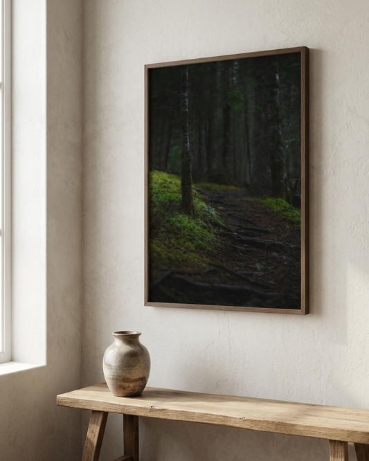 The Moss Path