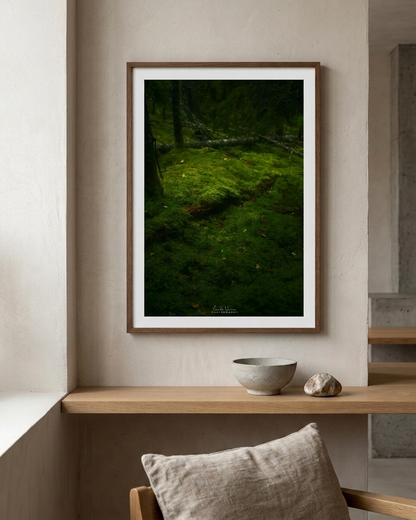 Moss Scape