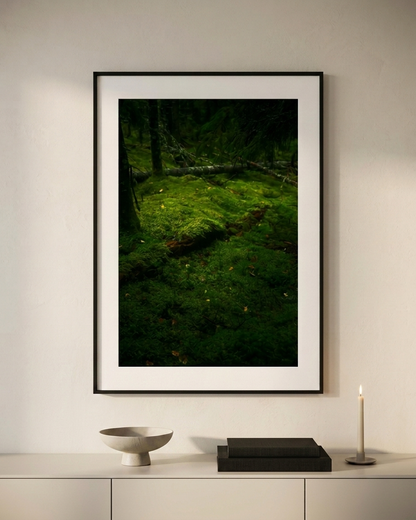 Moss Scape